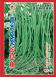 青条免架长豆角