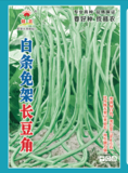 白条免架长豆角