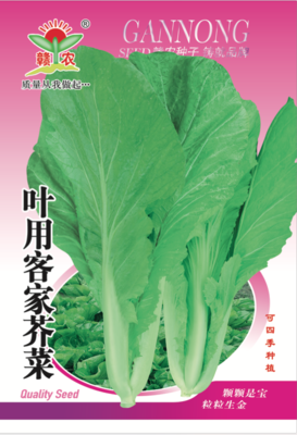 叶用芥菜
